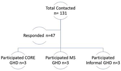 Diplomatic response to global health challenges in recognizing patient needs: A qualitative interview study